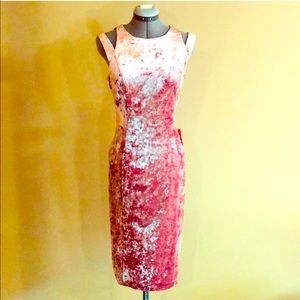 Maggy London Sleeveless Pink Velvet Sheath Formal Prom Wedding Dress siz…